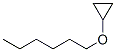 CAS 登录号：5462-72-6， 1-环丙基氧基己烷