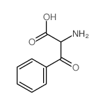 CAS 登录号：56884-61-8， 2-氨基-3-氧代-3-苯丙酸