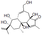 CAS 登录号：57444-60-7， Resiniferonol