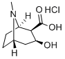 CAS 登录号:5796-31-6, 芽子碱盐酸盐