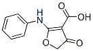 CAS 登录号：58337-23-8， 2-苯胺基-4-氧代-4,5-二氢呋喃-3-羧酸