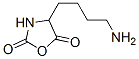 CAS 登录号：5860-61-7， 4-(4-氨基丁基)恶唑烷-2,5-二酮