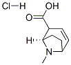 CAS 登录号：5937-74-6， (1R)-8-甲基-8-氮杂双环[3.2.1]辛-3-烯-2-羧酸盐酸盐
