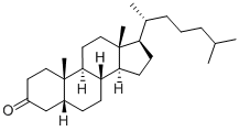 CAS 登录号：601-53-6， (5beta)-胆甾烷-3-酮