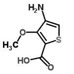 CAS 登录号：608537-78-6， 4-氨基-3-甲氧基-2-噻吩羧酸