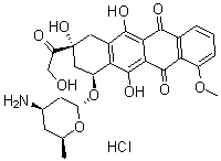 CAS 登录号：63521-85-7， 依索比星盐酸盐
