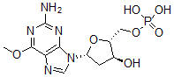 CAS 登录号：63642-13-7， O(6)-甲基脱氧鸟苷酸