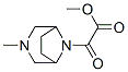CAS#: 63990-34-1， 8-(2-Methoxy-1,2-Dioxoethyl)-3-Methyl-3,8-Diazabicyclo[3.2.1]Octane