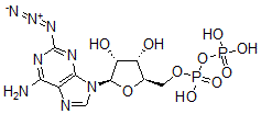 CAS 登录号:64020-53-7, 2-叠氮基腺苷 3',5'-二磷酸酯