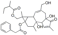 CAS#: 64854-98-4， Benzeneacetic Acid 1,1a,1b,4,4a,5,7a,7b,8,9-Decahydro-4a,7b-Dihydroxy-3-(Hydroxymethyl)-1,6,8-Trimethyl-1-[(2-Methyl-1-Oxobutoxy)Methyl]-5-Oxo-9aH-Cyclopropa[3,4]Benz[1,2-e]Azulen-9alpha-Yl Ester