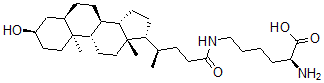 CAS 登录号：65236-49-9， N-epsilon-石胆酰赖氨酸