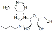 CAS 登录号：65456-84-0， 8-丁基氨基腺苷