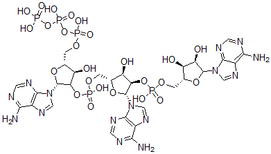 CAS 登录号：65954-93-0， 腺苷酰-(5'-2')-腺苷酰-(5'-2')-腺苷 5'-(四氢三磷酸酯)