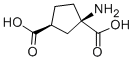 CAS#: 67684-64-4， (+/-)-1-Aminocyclopentane-trans-1,3-Dicarboxylic Acid