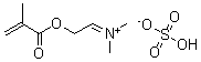 CAS 登录号：67939-26-8， (2-(甲基丙烯酰氧基)乙基)二甲基铵硫酸氢盐