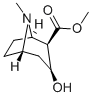 CAS 登录号：7143-09-1， 芽子碱甲酯
