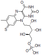 CAS 登录号：71800-98-1， 8-巯基-黄素单核苷酸
