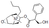 CAS 登录号：7182-53-8， (S)-alpha-(羟基甲基)苯乙酸 (1beta,2alpha,4alpha,5beta,7alpha)-9-丁基-9-甲基-3-氧杂-9-铵三环[3.3.1.02,4]壬烷-7-基酯