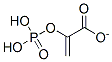 CAS 登录号：73-89-2， 2-(膦酰氧基)丙烯酸酯