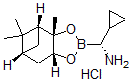 CAS 登录号：732285-43-7， (alphaR,3aS,4S,6S,7aR)-alpha-环丙基六氢-3a,5,5-三甲基-4,6-甲桥-1,3,2-苯并二氧硼烷-2-甲胺盐酸盐 (1:1)