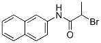CAS 登录号：73826-17-2， 2-溴-N-萘-2-基丙酰胺