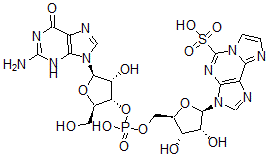 CAS#: 73962-12-6， 3-[(2R,3R,4S,5R)-5-[[[(2R,3S,4R,5R)-5-(2-Amino-6-Oxo-3H-Purin-9-Yl)-4-Hydroxy-2-(Hydroxymethyl)Oxolan-3-Yl]Oxy-Hydroxyphosphoryl]Oxymethyl]-3,4-Dihydroxyoxolan-2-Yl]Imidazo[2,1-f]Purine-5-Sulfonic Acid