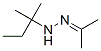 CAS 登录号：75268-05-2， N-乙基-N-(丙-2-亚基氨基)丙-2-胺