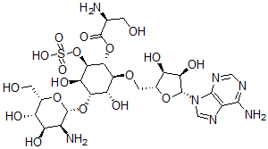 CAS 登录号：76174-56-6， [(1R,2S,3S,4S,5R,6R)-4-[(2R,3S,4R,5S,6S)-3-氨基-4,5-二羟基-6-(羟基甲基)四氢吡喃-2-基]氧基-2-[[(2R,3S,4R,5R)-5-(6-氨基嘌呤-9-基)-3,4-二羟基四氢呋喃-2-基]甲氧基]-3,5-二羟基-6-磺基氧基环己基](2S)-2-氨基-3-羟基丙酸酯