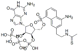 CAS 登录号：76709-18-7， 5-[2-[[2-[[[[(2R,3S,4R,5R)-5-(2-氨基-6-氧代-3H-嘌呤-9-基)-3,4-二羟基四氢呋喃-2-基]甲氧基-羟基磷酰]氧基-羟基磷酰]氧基-羟基磷酰]巯基乙酰基]氨基]乙基氨基]萘-1-磺酸
