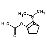 CAS 登录号：779268-13-2， 3-(二甲基氨基)双环[2.2.1]庚-2-基乙酸酯