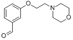 结构式 CAS# 81068-26-0, 3-(2-吗啉-4-基乙氧基)苯甲醛