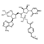 CAS 登录号：85977-19-1， 9-{(6S)-6-O-[{[2-(4-叠氮基苯基)-2-氧代乙基]硫基}(羟基)磷酰]-5-脱氧-6-C-[(2S,3S,4R,5R)-5-(2,4-二氧代-3,4-二氢-1(2H)-嘧啶基)-3,4-二羟基四氢-2-呋喃基]-2-O-膦酰-beta-D-核-呋喃己糖基}-9H-嘌呤-6-胺