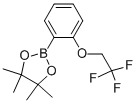 CAS#: 864754-11-0， 4,4,5,5-Tetramethyl-2-[2-(2,2,2-Trifluoro-Ethoxy)-Phenyl]-[1,3,2]Dioxaborolane