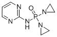 CAS 登录号：882-58-6， P,P-二(1-氮丙啶基)-N-2-嘧啶基-次膦酰胺