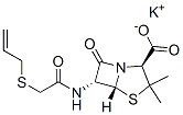 CAS 登录号：897-61-0， 青霉素 O 钾