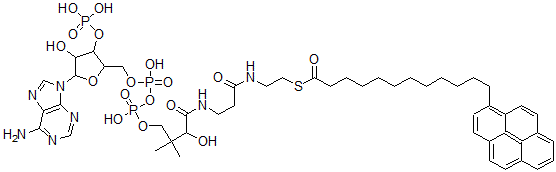 CAS#: 93255-33-5， Pyrenedodecanoyl-Coenzyme A
