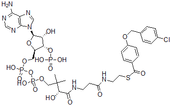 CAS 登录号:93604-15-0, 4-(4'-氯苄氧基)苯甲酰基-辅酶 A