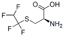 CAS 登录号：94840-66-1， S-(1,1,2,2-四氟乙基)半胱氨酸