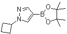 1-环丁基-1H-吡唑-4-硼酸频哪醇酯分子结构 (CAS 1002309-48-9)