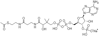 乙酰辅酶 A 钠盐分子结构 (CAS 102029-73-2)