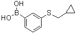 [3-(Cyclopropylmethylthio)phenyl]boronic acid molecular structure (CAS 1025746-82-0)