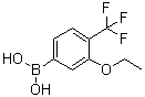 B-[3-Ethoxy-4-(trifluoromethyl)phenyl]boronic acid molecular structure (CAS 1026796-35-9)