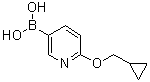 2-(Cyclopropylmethoxy)pyridin-5-ylboronic acid molecular structure (CAS 1028749-31-6)