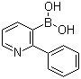 (2-Phenyl-3-pyridinyl)boronic acid molecular structure (CAS 1029654-14-5)