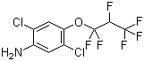 2,5-Dichloro-4-(1,1,2,3,3,3-hexafluoropropoxy)benzenamine molecular structure (CAS 103015-84-5)