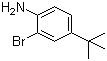 2-Bromo-4-tertbutylaniline molecular structure (CAS 103273-01-4)