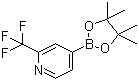 2-Trifluoromethylpyridine-4-boronic acid pinacol ester molecular structure (CAS 1036990-42-7)