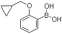 2-(Cyclopropylmethoxy)phenylboronic acid molecular structure (CAS 1050510-36-5)