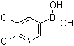2,3-Dichloropyridine-5-boronic acid molecular structure (CAS 1072944-15-0)