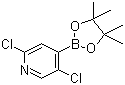 2,5-Dichloropyridine-4-boronic acid pinacol ester molecular structure (CAS 1073353-98-6)
